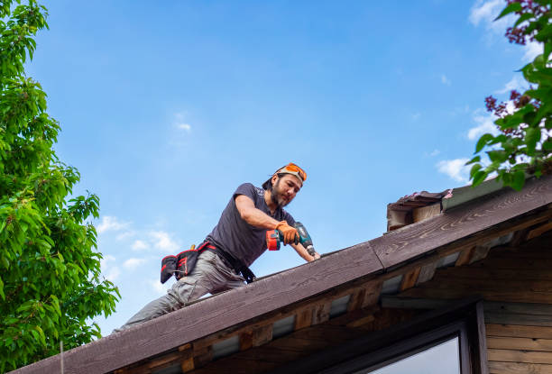 Best Roof Maintenance and Cleaning  in Bedford, TX